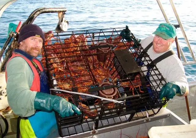 WASSP allows Trevor and his crew to more accurately place their lobster pots, which sees time and cost savings