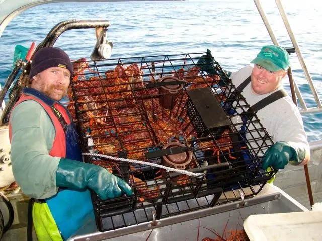 WASSP allows Trevor and his crew to more accurately place their lobster pots, which sees time and cost savings