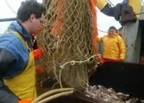 The EC has tabled its proposal for a new multiannual plan for Baltic salmon