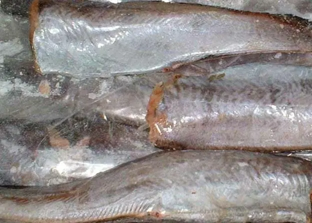 Expansion of the allowable catch of hoki from NZ's western stocks should be backed up by research, first