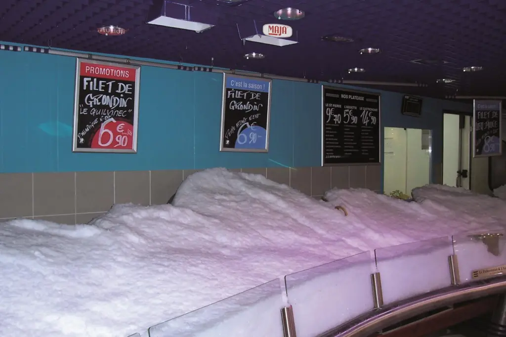 Flake ice display
