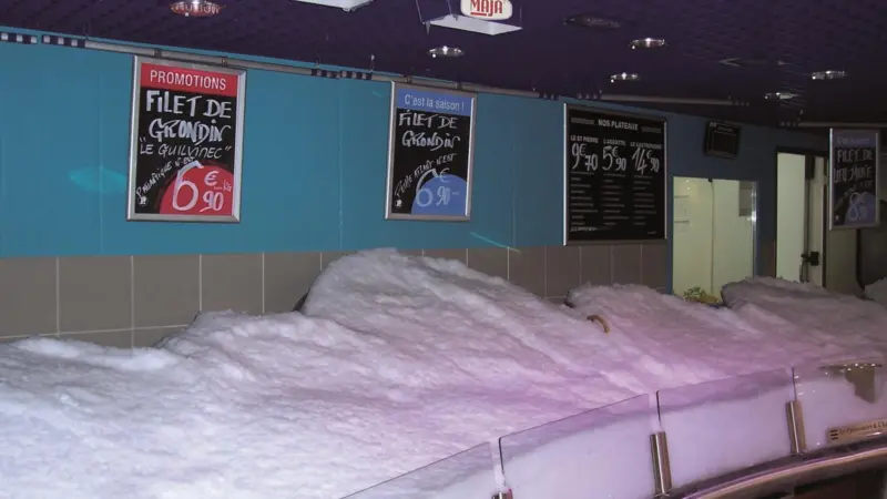 Flake ice display