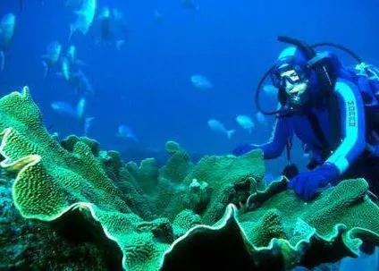 The Kermadec marine reserve is New Zealand’s largest marine reserve