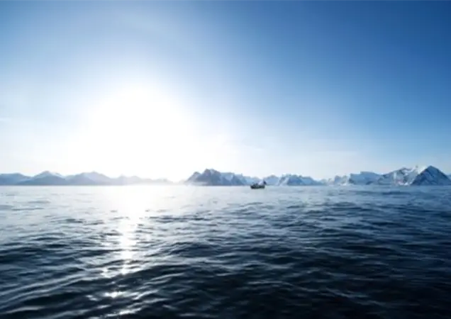 "The main reason for the decrease in value is a lower price for salmon resulting from a fall in demand.  At the same time, we are seeing an increase in sales of frozen cod and haddock," says Egil Ove Sundheim, Market Information Director at the NSEC.