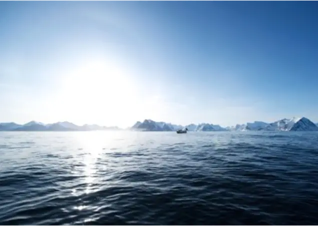 "The main reason for the decrease in value is a lower price for salmon resulting from a fall in demand.  At the same time, we are seeing an increase in sales of frozen cod and haddock," says Egil Ove Sundheim, Market Information Director at the NSEC.