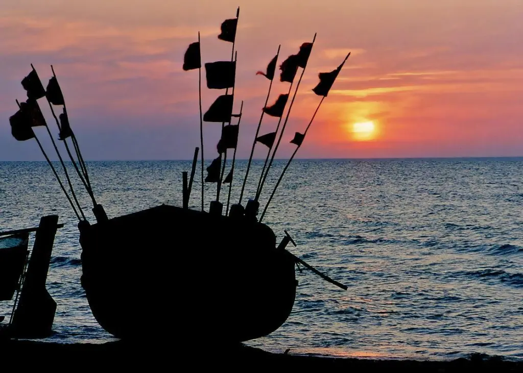 The EC has proposed its fishing opportunities for the Baltic Sea. Credit: Skarabeusz