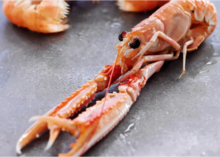 Scotland has welcomed a major boost for fishermen thanks to langoustine deal with Sainsbury's