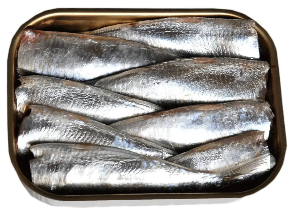 Sardines processed and packed by the system