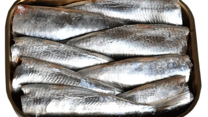 Sardines processed and packed by the system