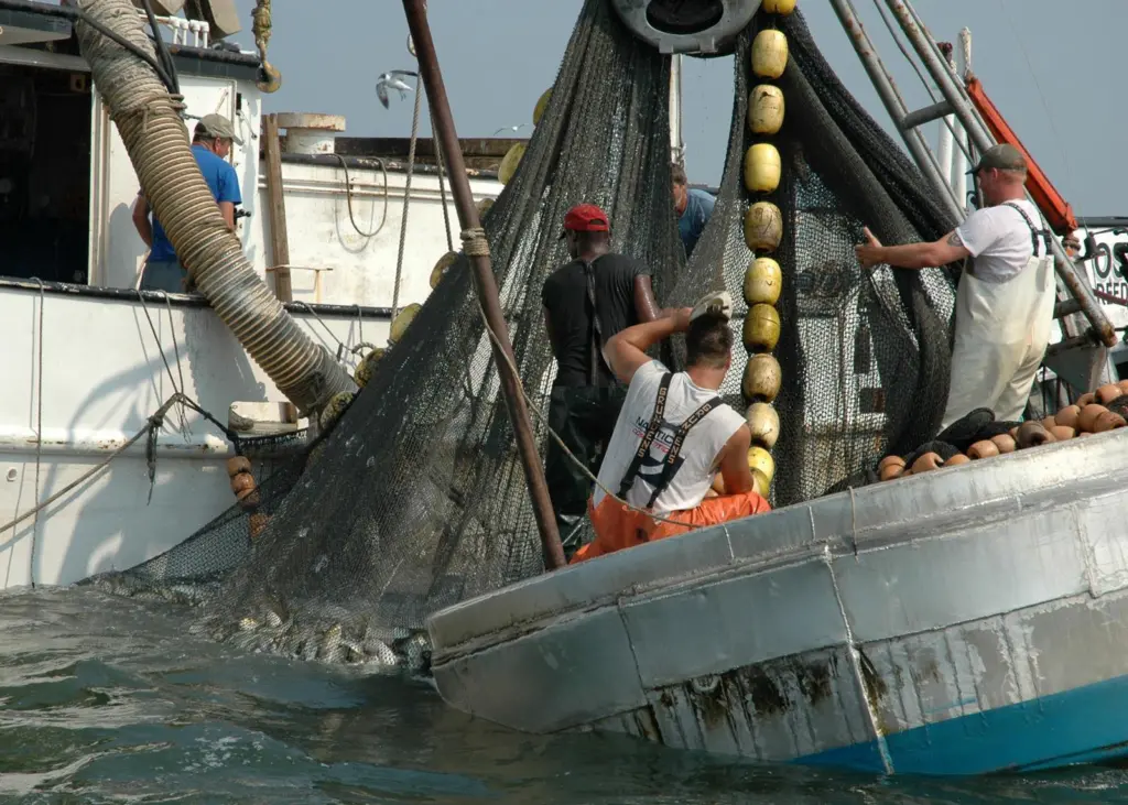 The project’s co-founders have sounded a grave warning about the deteriorating quality of data released to the public. Credit: John Surrick/Chesapeake Bay Foundation/Marine Photobank
