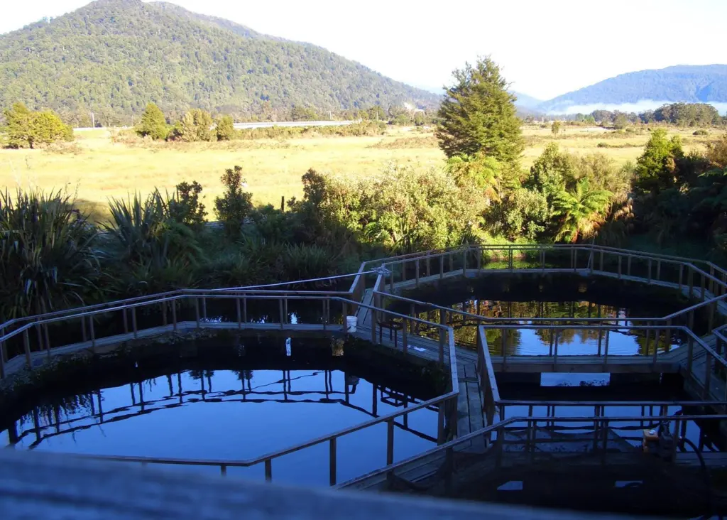 New Zealand is looking to move forward with aquaculture investment Photo: C Quigley/MPB