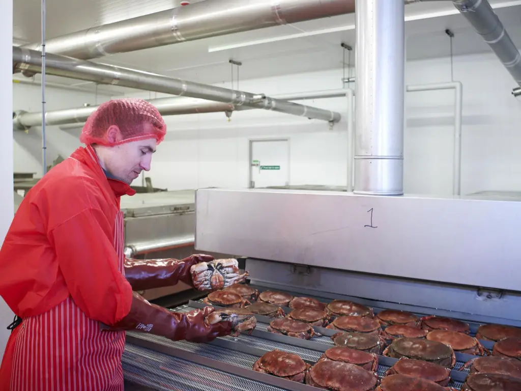 AM Seafoods’ new £1.5m facility will double its production capacity