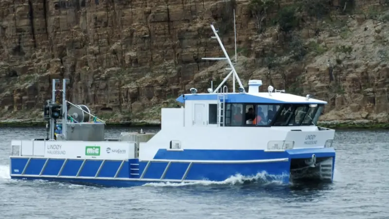 MV Lindoy