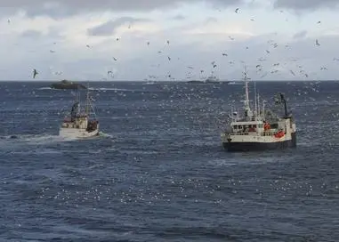 The environmental accounting will show negative impact on the environment as a result of production of cod and haddock products, in particular related to emissions and carbon footprint. Photo: Frank Gregersen. © Nofima