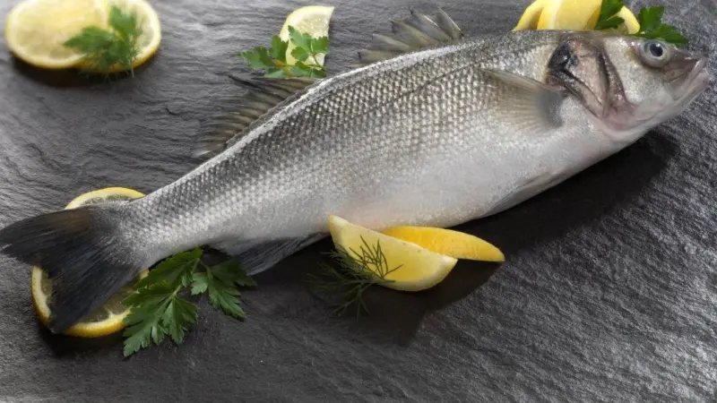 Anglesey Sea Bass is the only farmed sea bass to be produced in the UK
