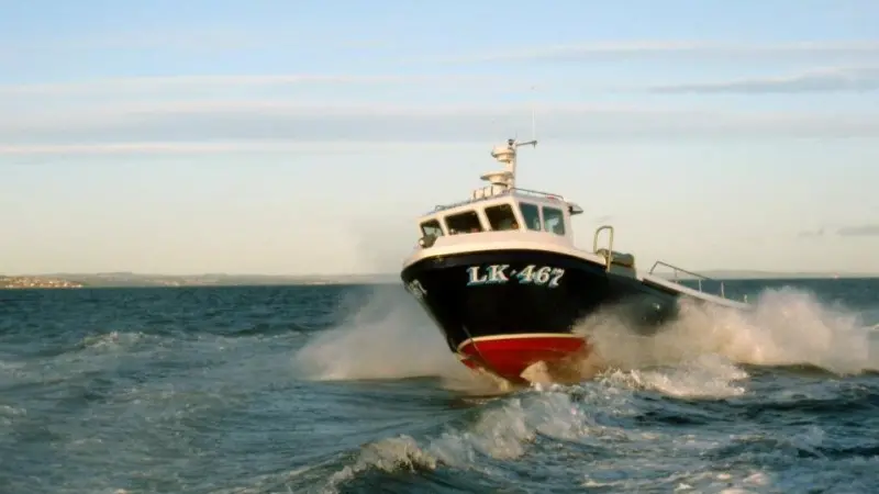Cyclone 33