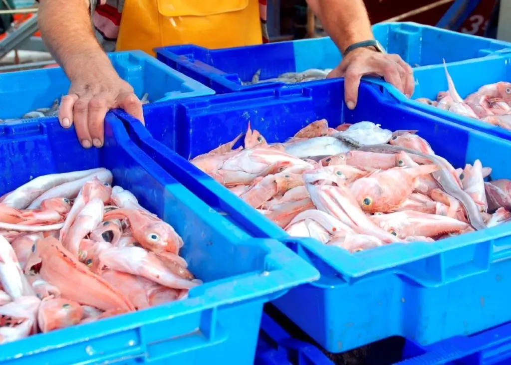 The ISU aims to to build a global consensus on sustainable fisheries management