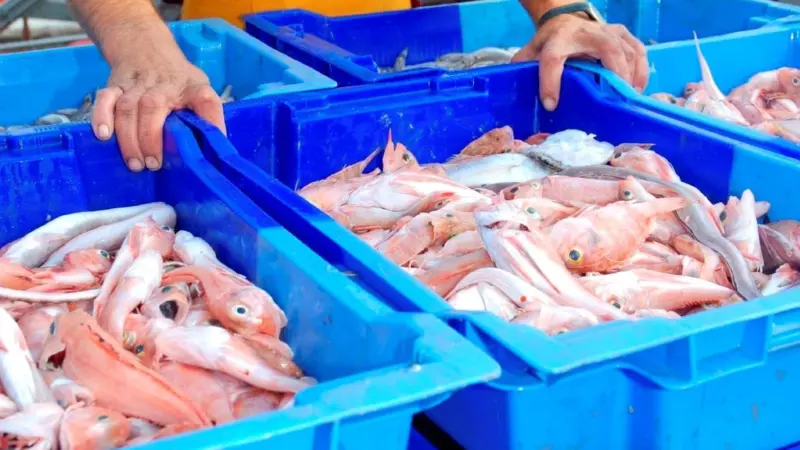 The ISU aims to to build a global consensus on sustainable fisheries management