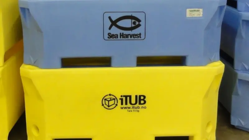 The difference between the new Saeplast 340l container and the 460l container can be seen