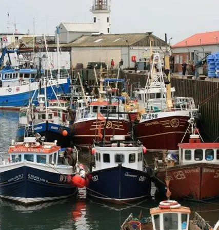 Last June the Commission reported that fish stocks in European waters are improving. Credit: Mick Garratt/Wiki