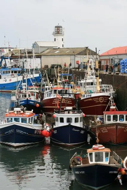 Last June the Commission reported that fish stocks in European waters are improving. Credit: Mick Garratt/Wiki