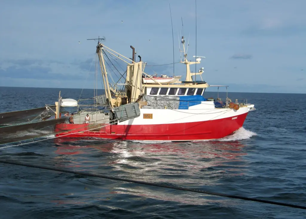 A moderate level of fishing – spread across a wide range of species, stocks and sizes – can achieve high catch levels while conserving biodiversity. Credit: CSIRO