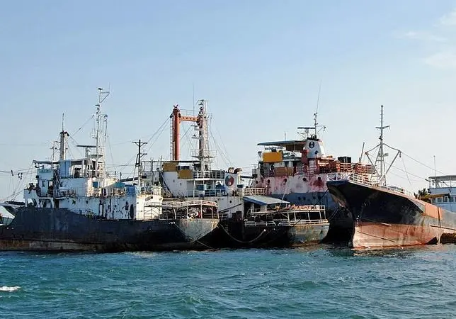 Tuna boats. Photo by Andy Maluche