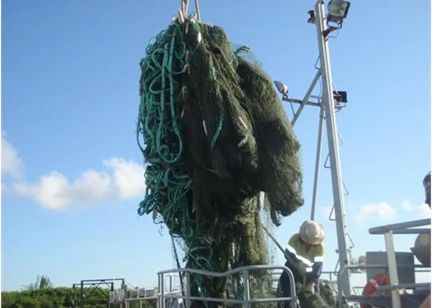 The largest ghost net seen in years is retrieved from the Ashmore Reef