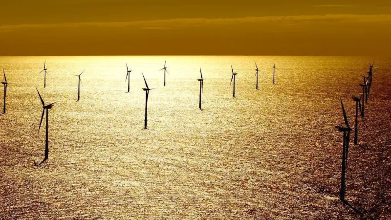 Horns Rev offshore wind farm. © DONG Energy  A/S