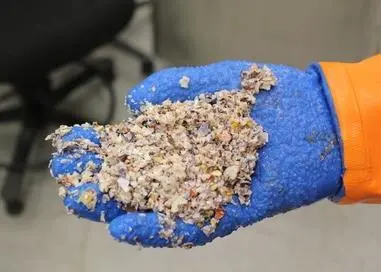 Scientists have looked at new production lines and alternative uses for crab meal. Photo: Ronny Jakobsen © Nofima