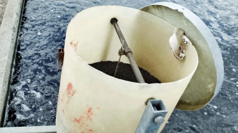 The high-tech and eco-friendly Model Trout Farms use water from boreholes rather than from watercourses. Consequently, the watercourse is free from obstacles such as dams and sluices, and wild fish can move freely to and from their breeding grou...