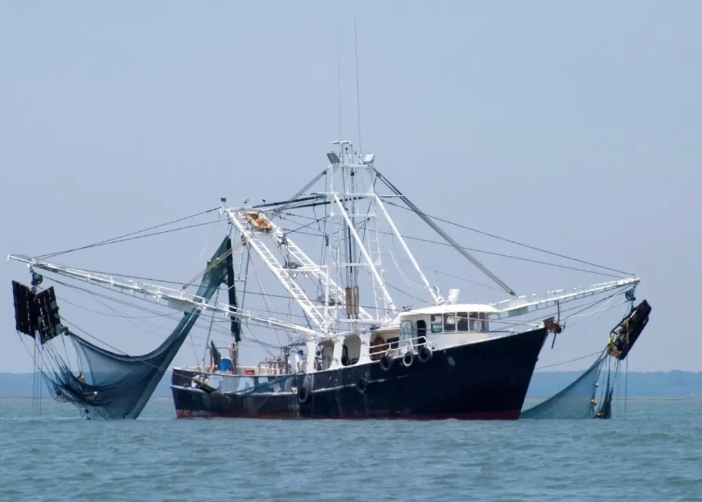 Oceana wants the tax exemption on fuel cut for fishing vessels