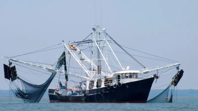 Oceana wants the tax exemption on fuel cut for fishing vessels