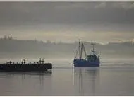 Now 100% of Danish mussel exports can carry the MSC ecolabel