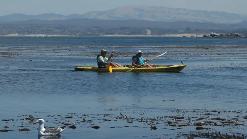 New analysis shows that the majority of US MPAs allow human uses, including fishing, swimming and kayaking. Credit: NOAA