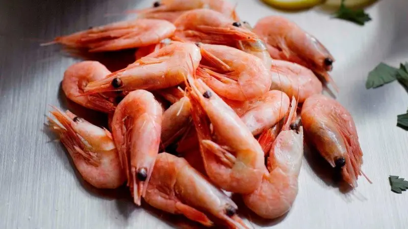 Some 20,000t of Norway’s coldwater prawn catch is now MSC certified