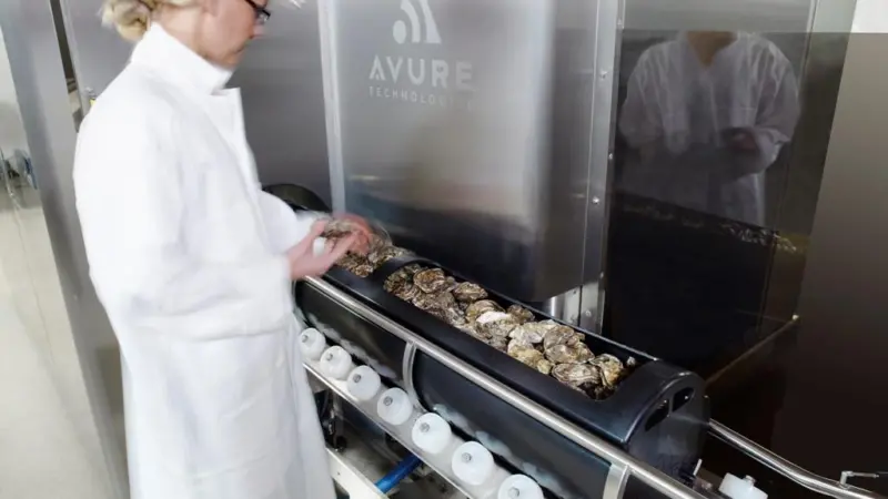 The Avure 100L HPP system with a basketful of oysters going in to the machine. The 100L can process 800-850kg of oysters or mussels per hour. Credit: Avure