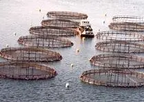 Aquaculture in Nova Scotia. Credit: Nova Scotia Fisheries and Aquaculture