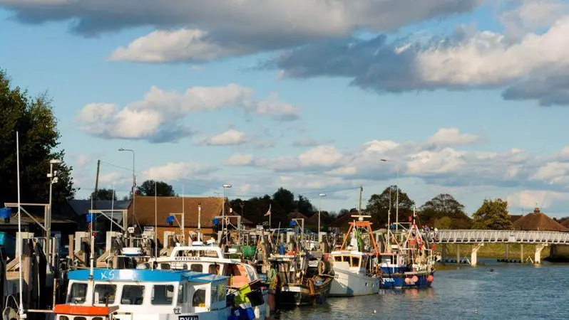The study says that global fisheries could be worth US$54bn each year, rather than losing US$13bn per year