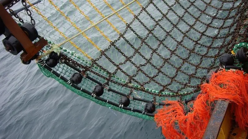 Trials of revolutionary fishing gear have been successful in reducing ground impact and reducing fish discards