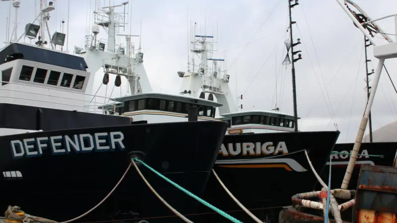 Alaskan pollock trawlers. Photo: Valerie Craig/Marine Photobank