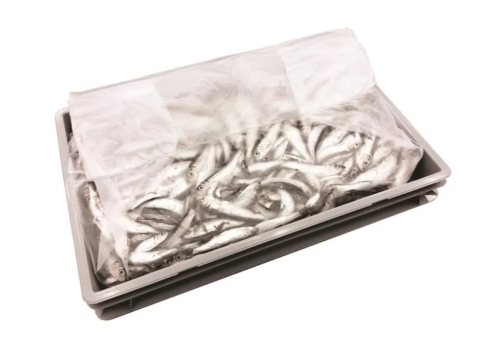 Fish in a lined crate