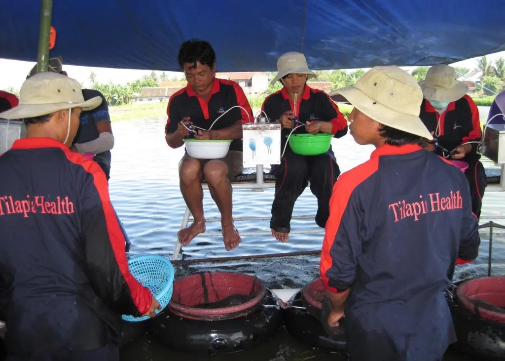 AQUAVAC® IridoV has gained approval from authorities in Singapore