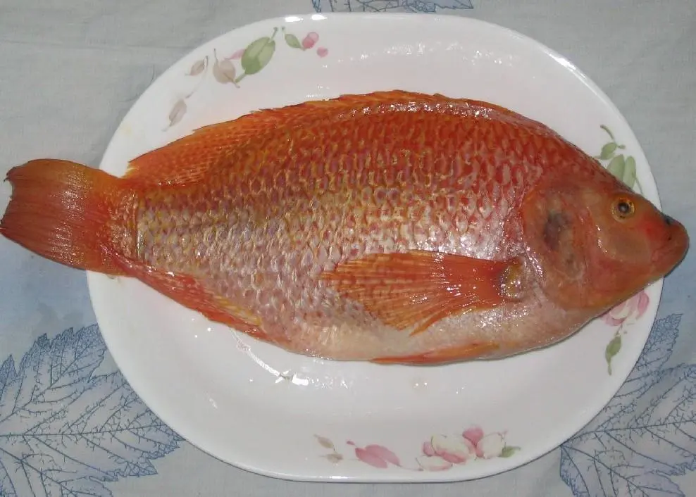 An operation that farms and processes tilapia in Costa Rica is BAP certified. Credit: Wiki/Allentchang. License: GNU Free Documentation License