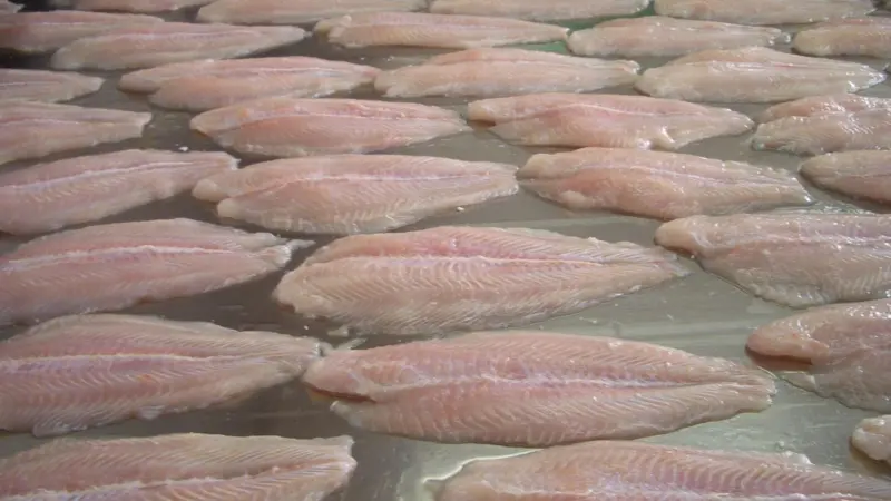 Pangasius production in Vietnam has grown from 500,000 tonnes to 1.5 million tonnes in the last 10 years