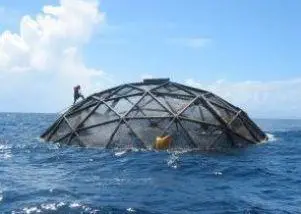Fish farming companies in Turkey and from around the world will attend the Offshore Mariculture Conference 2012