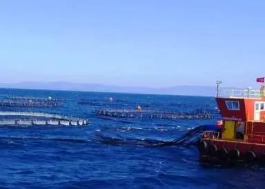 00_59741_Offshore-cage-in-Turkey-2web