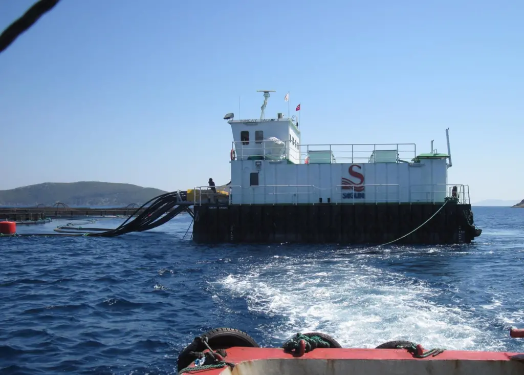 Sagun monitors and feeds its fish using computer technology
