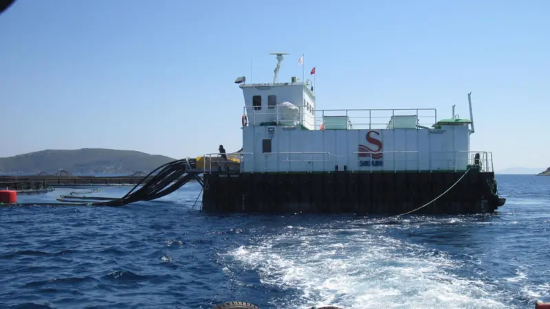 Sagun monitors and feeds its fish using computer technology