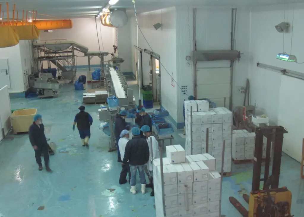 The processing facility produced five tonnes of fish per hour